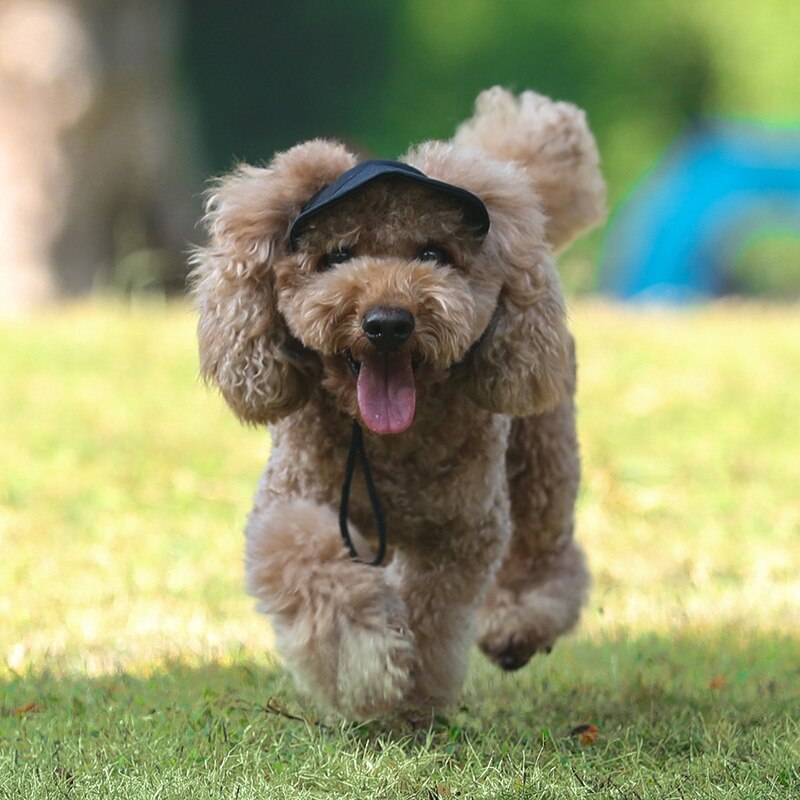 Dog Sun Visor Pet Outdoor Cap