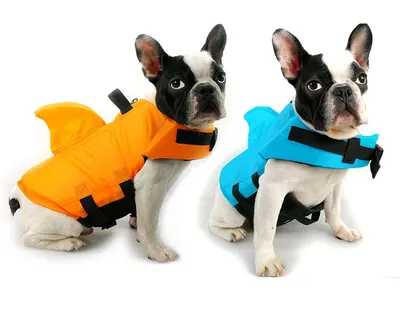 Dog Swim Vest Pet Protective Swimming Suit Dog Swim Vest Pet Protective Swimming Suit