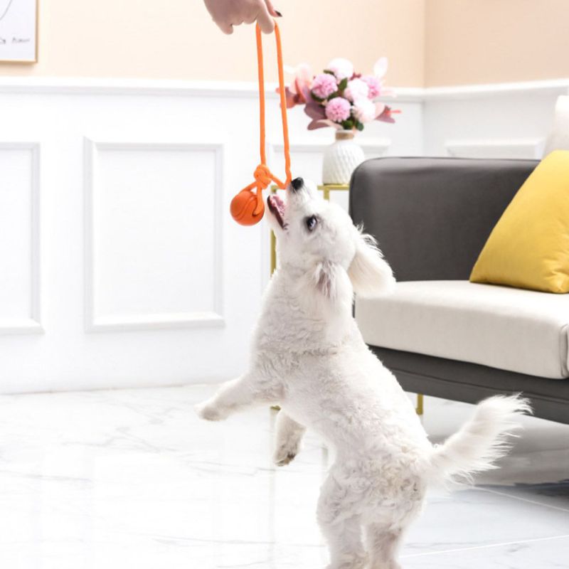 Dog Teething Rope Chew Toy