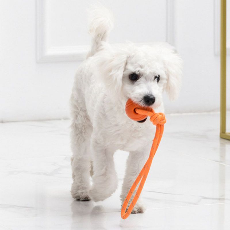 Dog Teething Rope Chew Toy