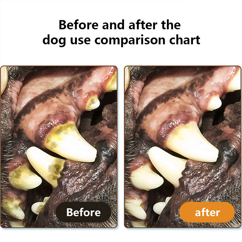 Dog Toothbrush Toy Pet Accessory