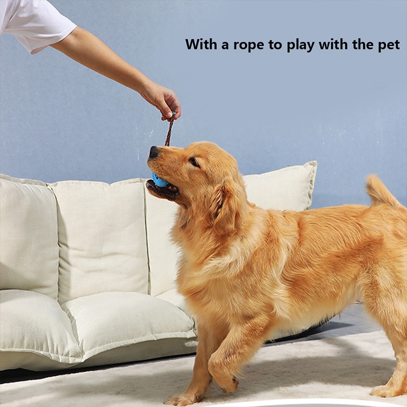 Dog Toothbrush Toy Pet Accessory