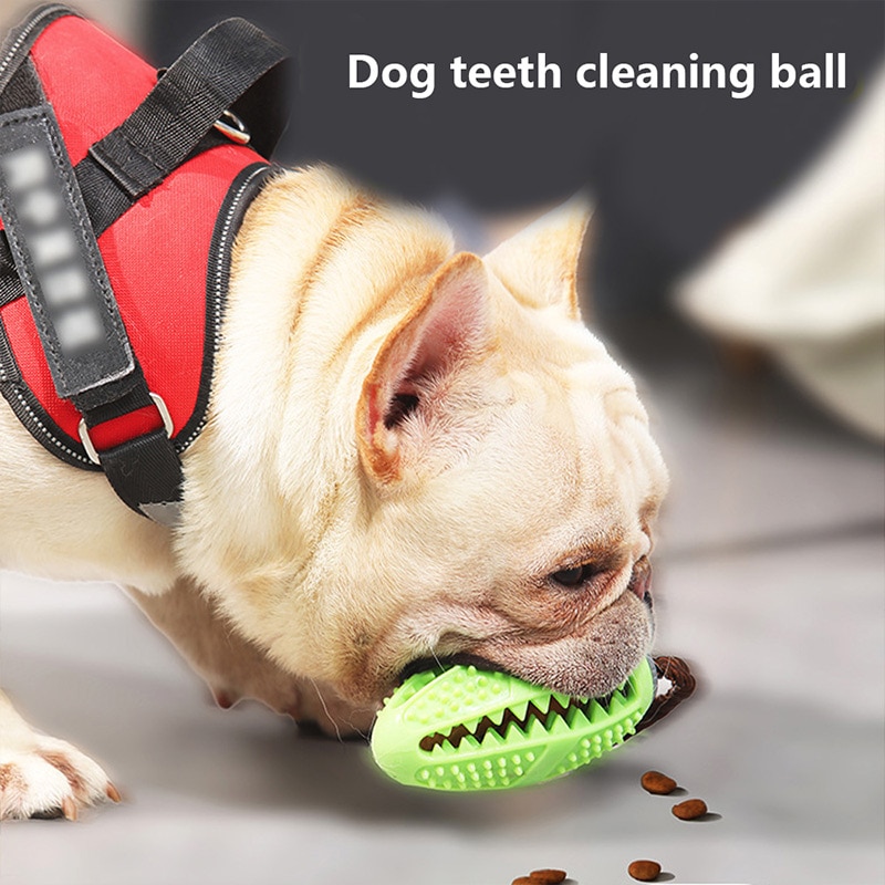 Dog Toothbrush Toy Pet Accessory