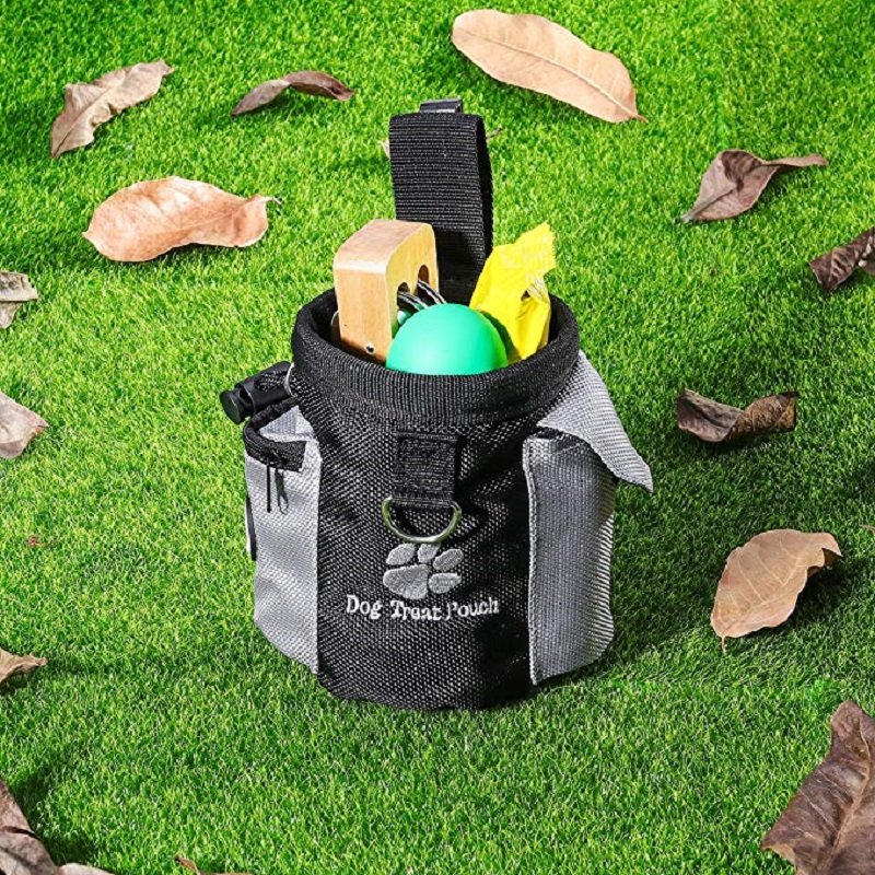 Dog Training Treat Bag
