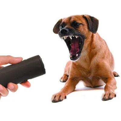Dog Ultrasonic Anti Barking Device 3 in 1 Dog Training Anti-barking Device with Flash Light Outdoor Pets Dogs Repellent Dog Ultrasonic Anti Barking Device 3 in 1 Dog Training Anti-barking Device with Flash Light Outdoor Pets Dogs Repellent