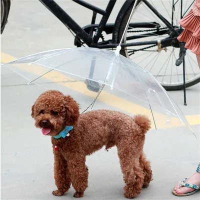Dog Umbrella with Built-In Leash Dog Umbrella with Built-In Leash
