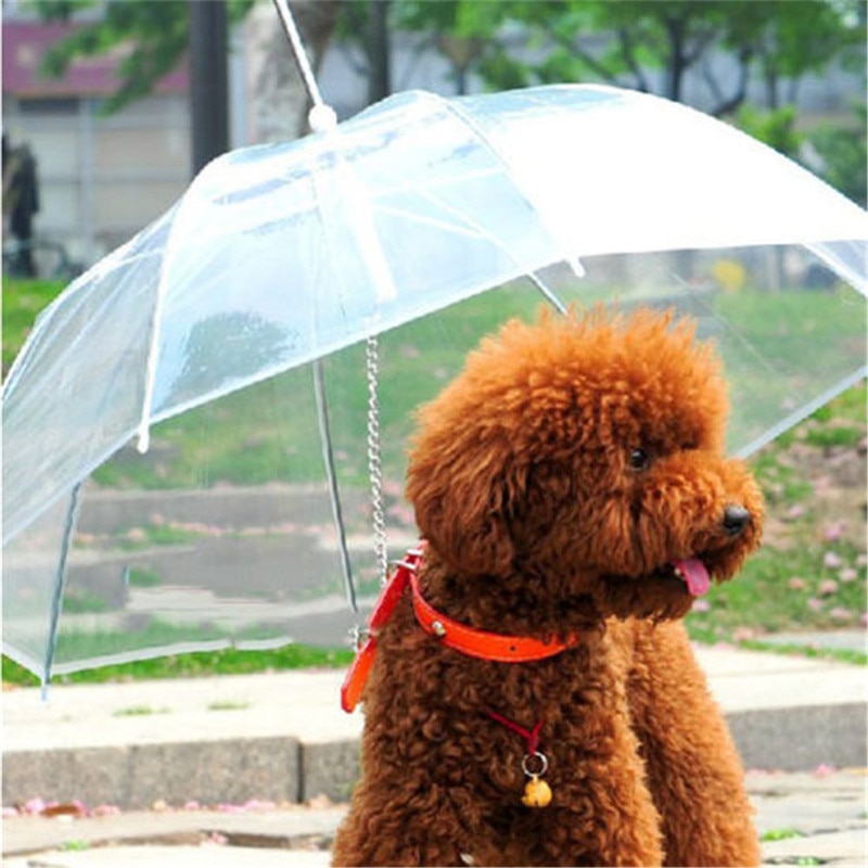Dog Umbrella with Built-In Leash Dog Umbrella with Built-In Leash