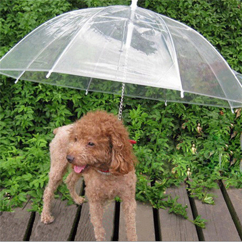 Dog Umbrella with Built-In Leash Dog Umbrella with Built-In Leash