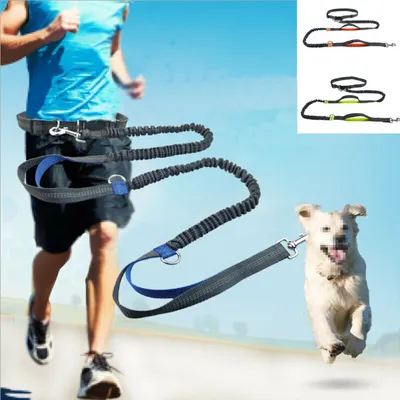 Dog Walking Belt Dog Leash Dog Walking Belt Dog Leash