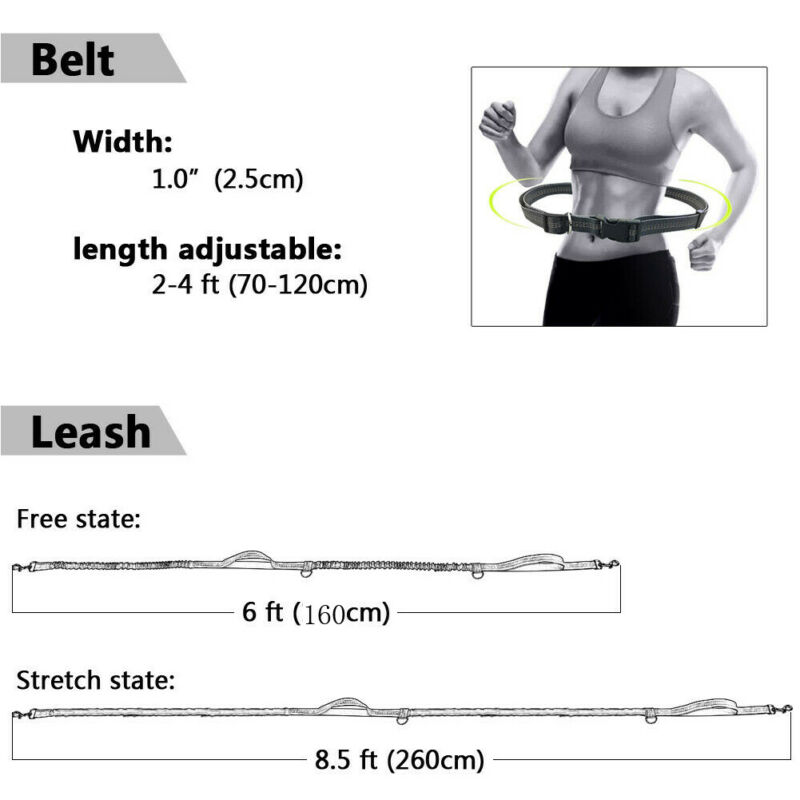 Dog Walking Belt Dog Leash Dog Walking Belt Dog Leash