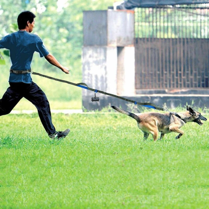 Dog Walking Belt Dog Leash Dog Walking Belt Dog Leash