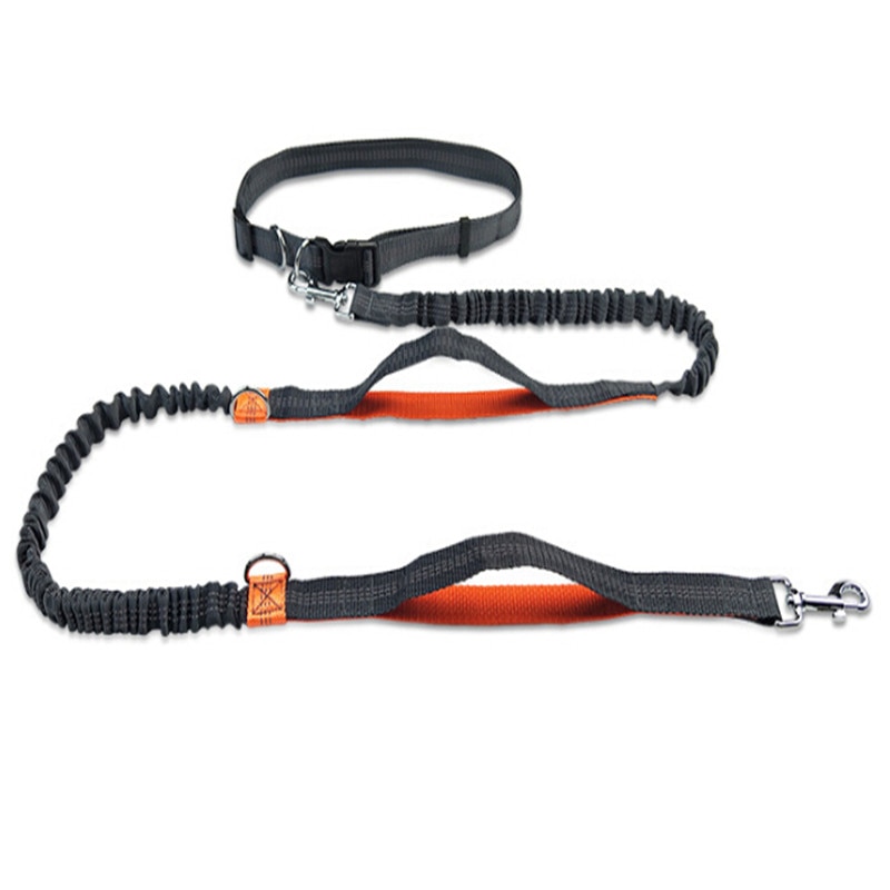 Dog Walking Belt Dog Leash Dog Walking Belt Dog Leash