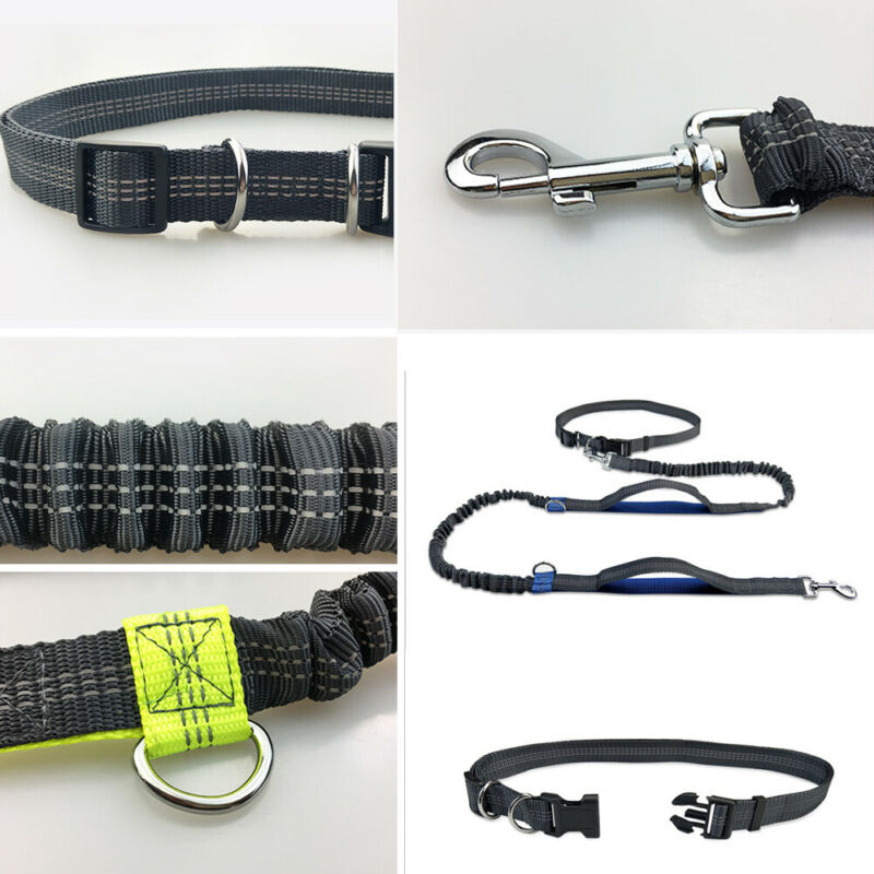 Dog Walking Belt Dog Leash Dog Walking Belt Dog Leash