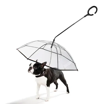 Dog Walking Umbrella Leash