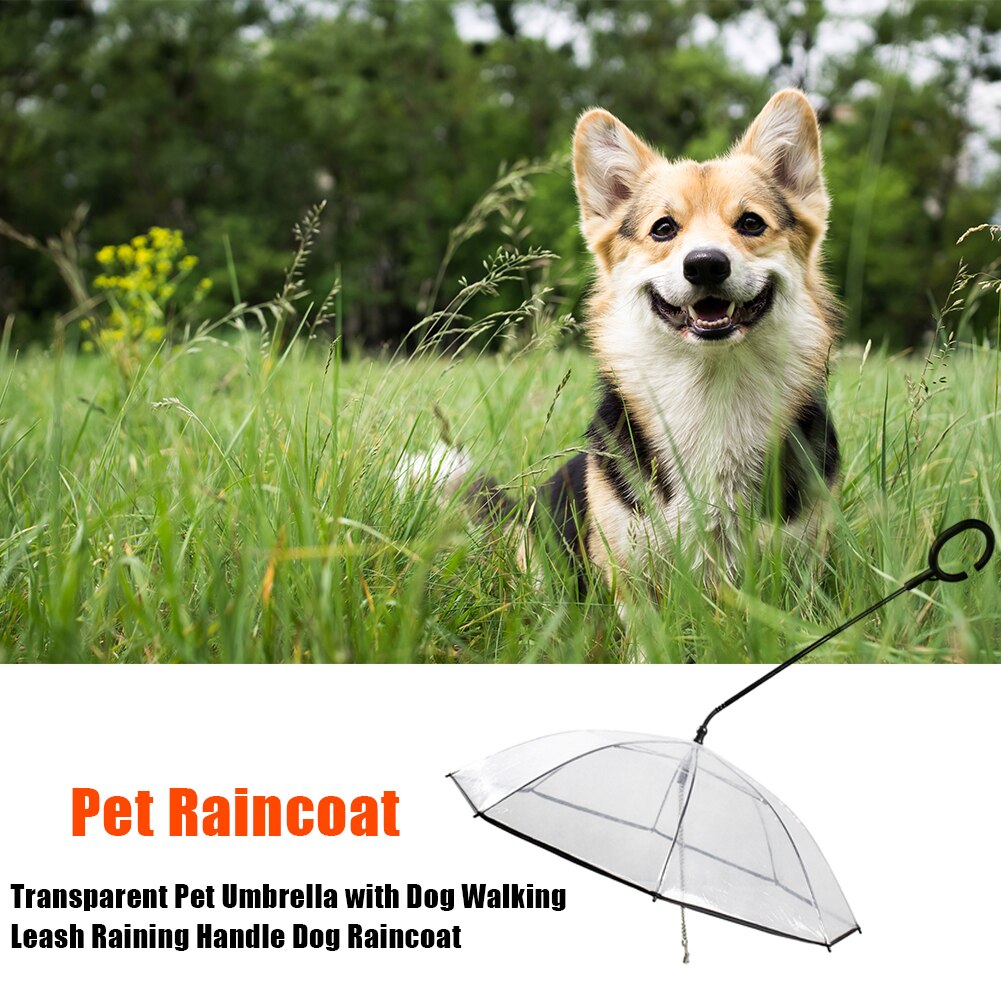 Dog Walking Umbrella Leash