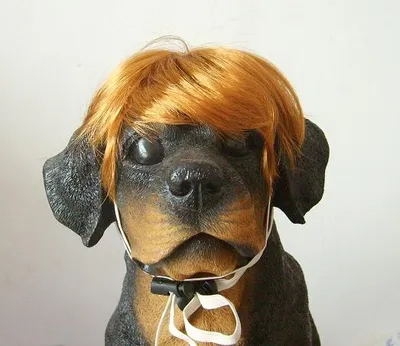 Dog Wig Party Dog Headwear Dog Wig Party Dog Headwear