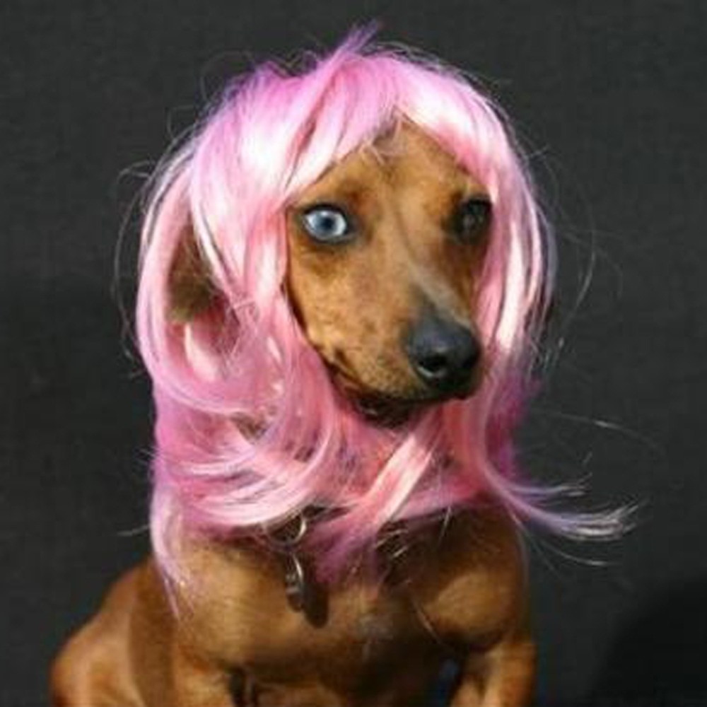 Dog Wig Party Dog Headwear Dog Wig Party Dog Headwear