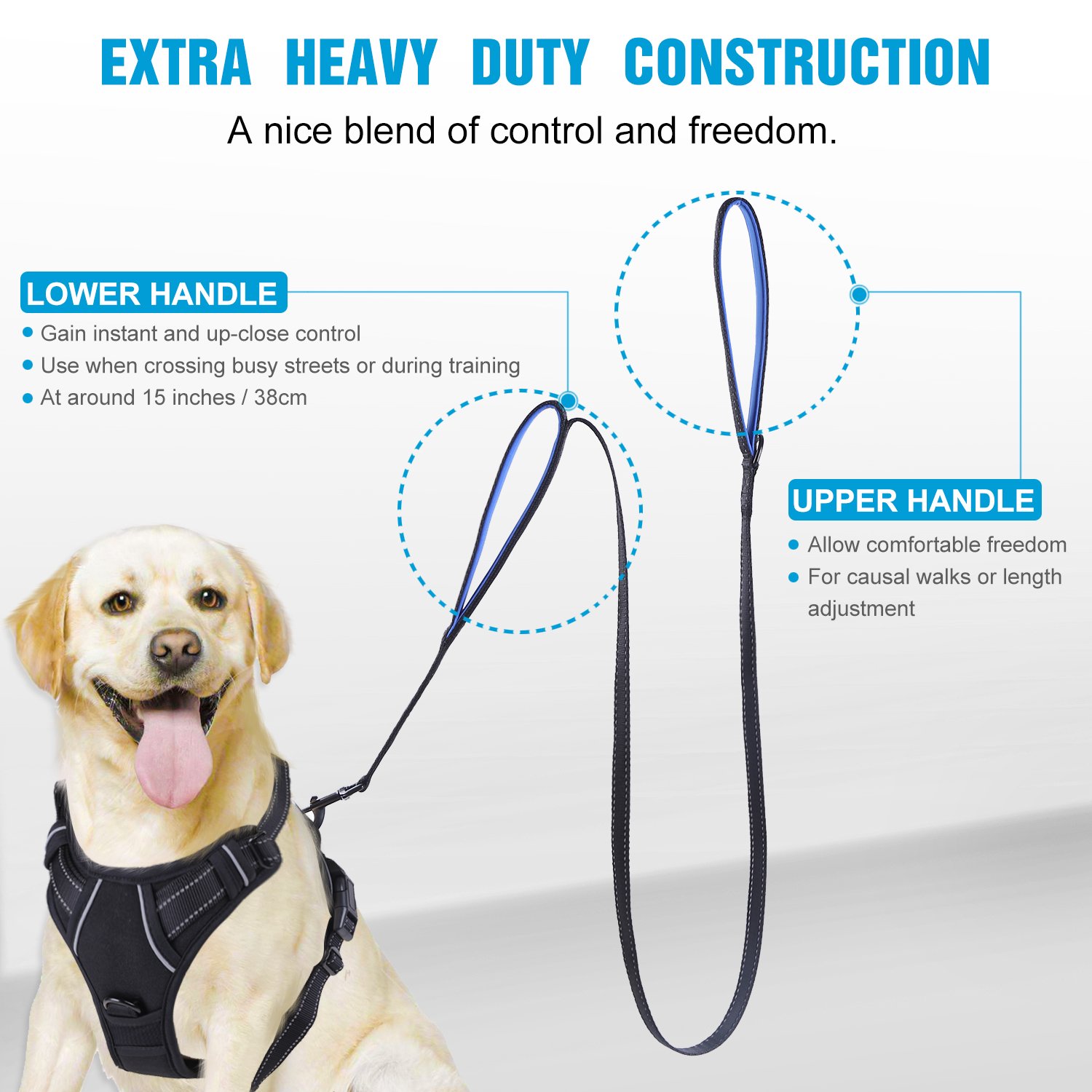 Double Handle Dog Leash Pet Accessory Double Handle Dog Leash Pet Accessory