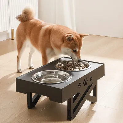 Double Pet Bowl with Stand Adjustable Feeder Double Pet Bowl with Stand Adjustable Feeder