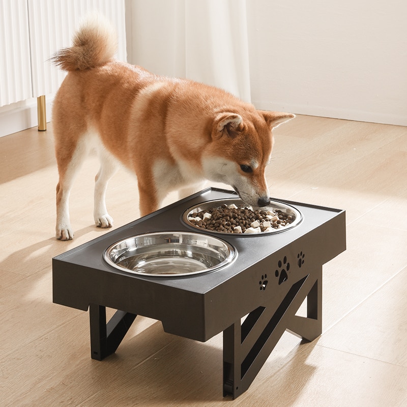 Double Pet Bowl with Stand Adjustable Feeder