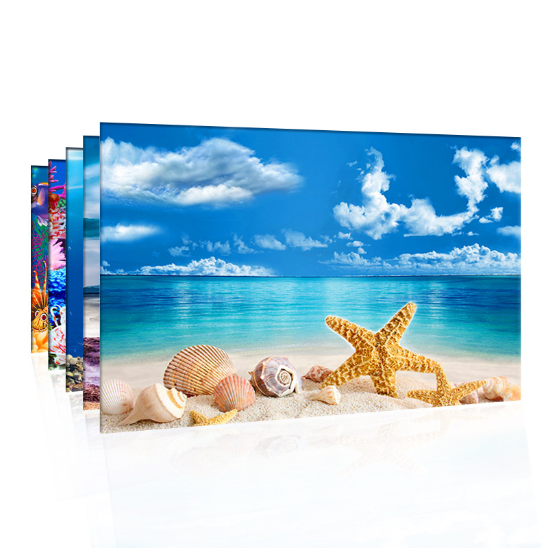Double Sided Aquarium Background Poster