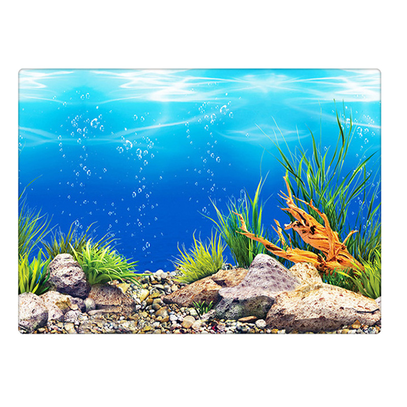 Double Sided Aquarium Background Poster