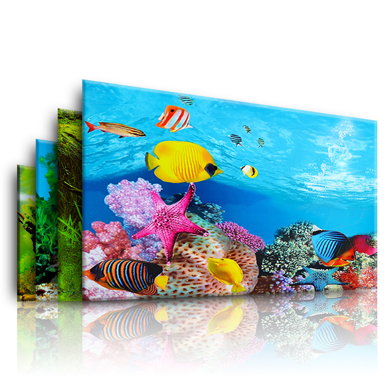 Double Sided Aquarium Background Poster