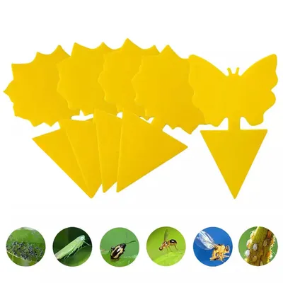 Double Sided Yellow Sticky Traps (10pcs)