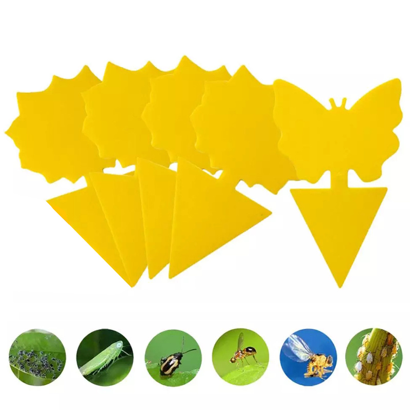 Double Sided Yellow Sticky Traps (10pcs)
