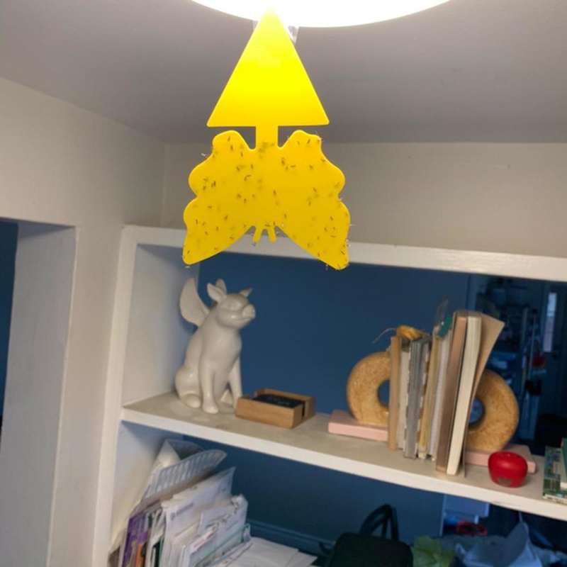 Double Sided Yellow Sticky Traps (10pcs)