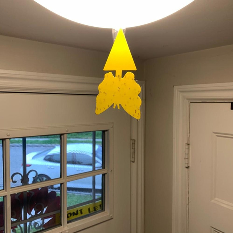 Double Sided Yellow Sticky Traps (10pcs)