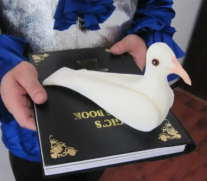 Dove From Firing Book Fire Magic Stage Magic Trick Magia Magie Magicians Prop Accessory Illusion Gimmick