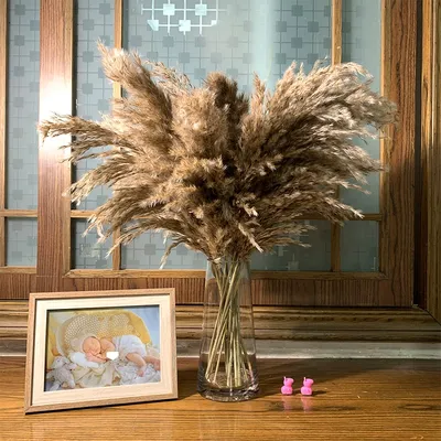 Dried Natural Pampas Grass Decor (10 pcs)