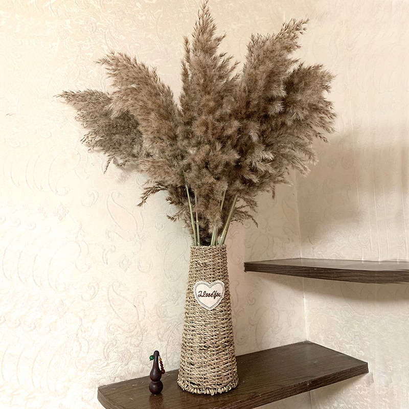 Dried Natural Pampas Grass Decor (10 pcs)