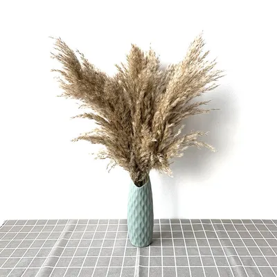 Dried Pampas Grass Decor with Vase Dried Pampas Grass Decor with Vase