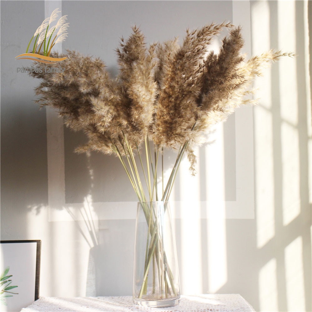 Dried Pampas Grass Decor with Vase Dried Pampas Grass Decor with Vase
