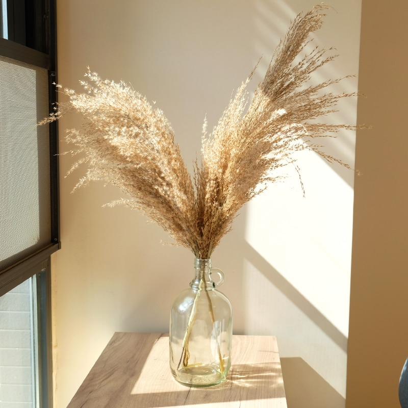 Dried Pampas Grass Decor with Vase Dried Pampas Grass Decor with Vase