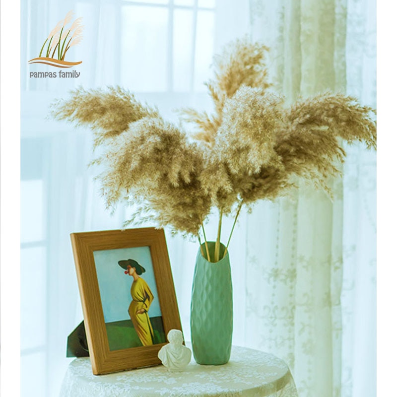 Dried Pampas Grass Decor with Vase Dried Pampas Grass Decor with Vase