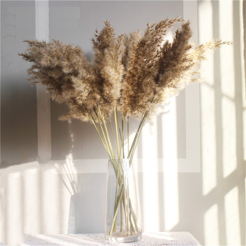 Dried Pampas Grass Rustic Decoration (20 pcs)