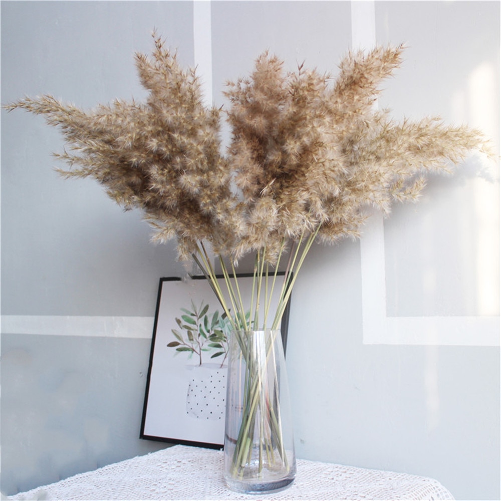 Dried Pampas Grass Rustic Decoration (20 pcs) Dried Pampas Grass Rustic Decoration (20 pcs)