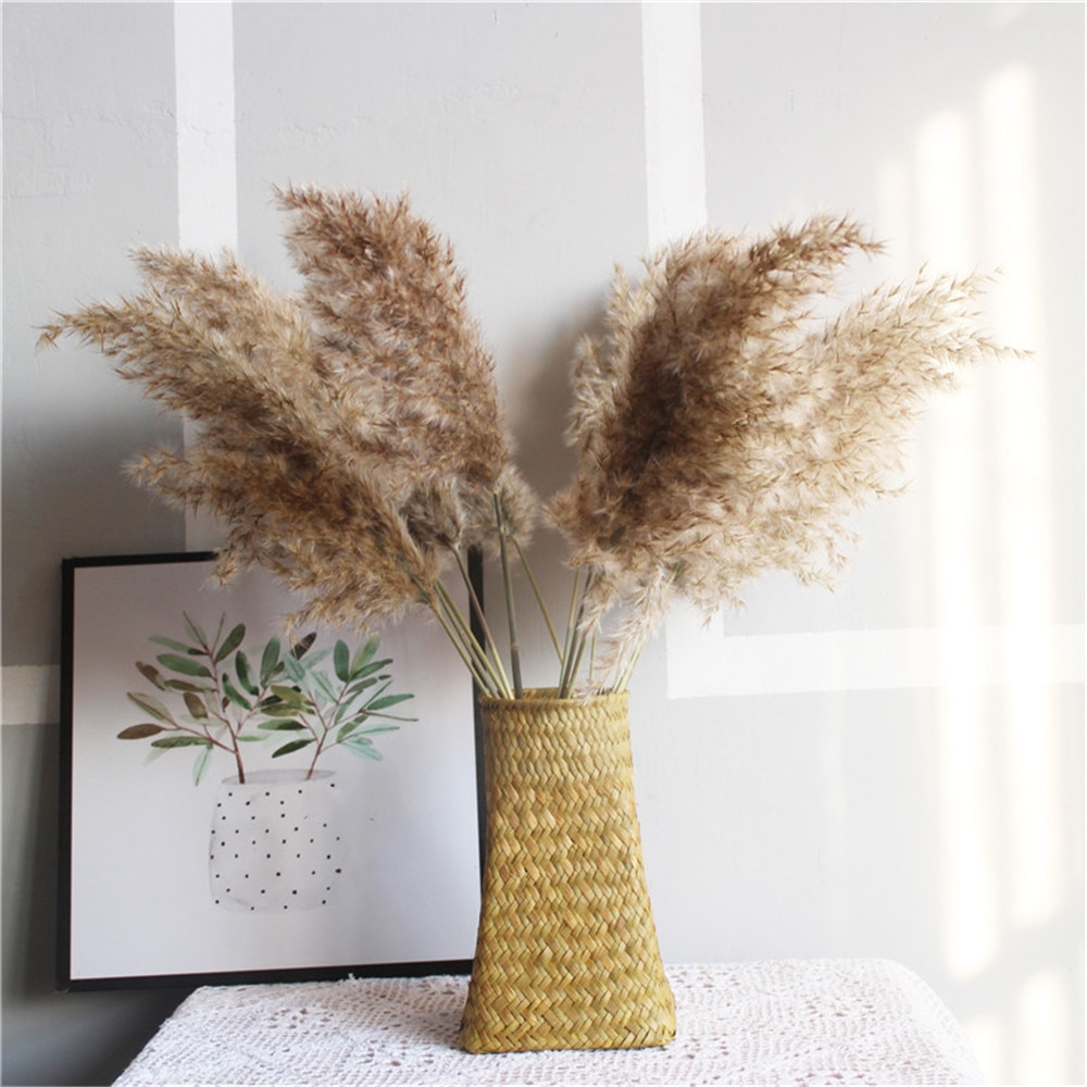 Dried Pampas Grass Rustic Decoration (20 pcs) Dried Pampas Grass Rustic Decoration (20 pcs)