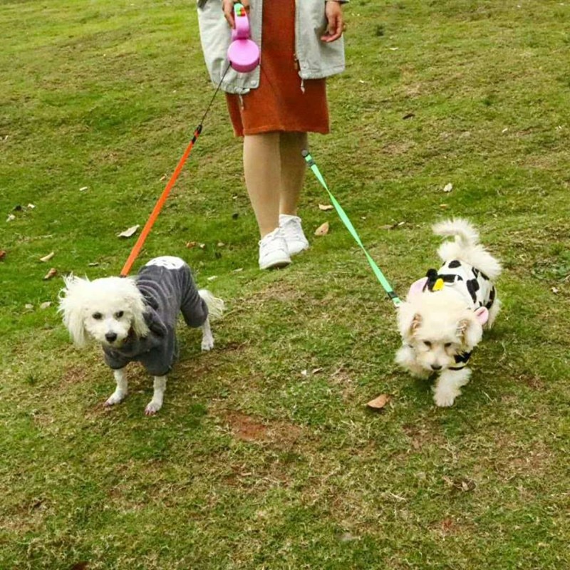 Dual Dog Leash Retractable Cord Dual Dog Leash Retractable Cord
