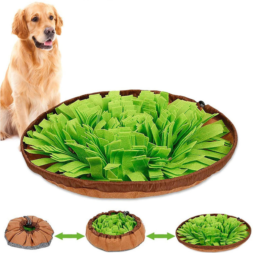 Dual Purpose Pet Snuffle Mat