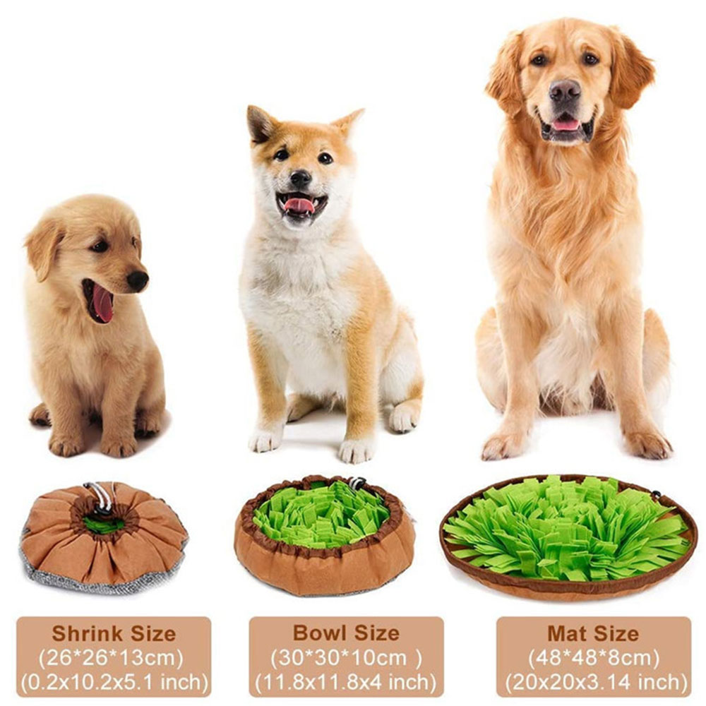 Dual Purpose Pet Snuffle Mat