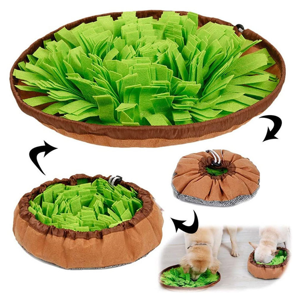 Dual Purpose Pet Snuffle Mat