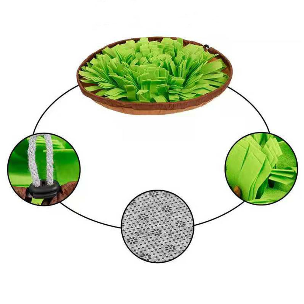 Dual Purpose Pet Snuffle Mat