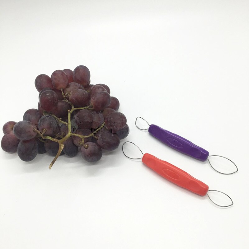 Dual Tip Grapes Peeler Tool
