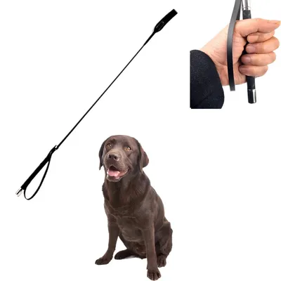 Durable Dog Training Stick Durable Dog Training Stick