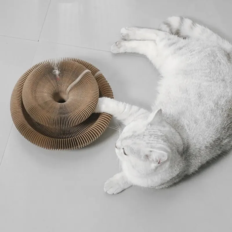 Durable Kitty Kurlz Cat Toy Cat Accordion Magic Organ Cat Scratching Board Cat Toy Ball Scratch Pad Cat Scratcher Kitty
