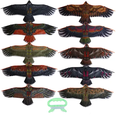 Eagle Kite Outdoor Flying Toy